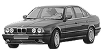 BMW E34 P041F Fault Code