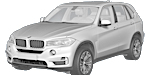 BMW F15 P041F Fault Code
